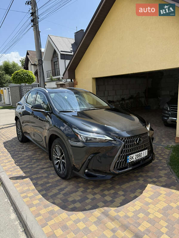 Внедорожник / Кроссовер Lexus NX 2022 в Киеве