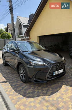 Внедорожник / Кроссовер Lexus NX 2022 в 