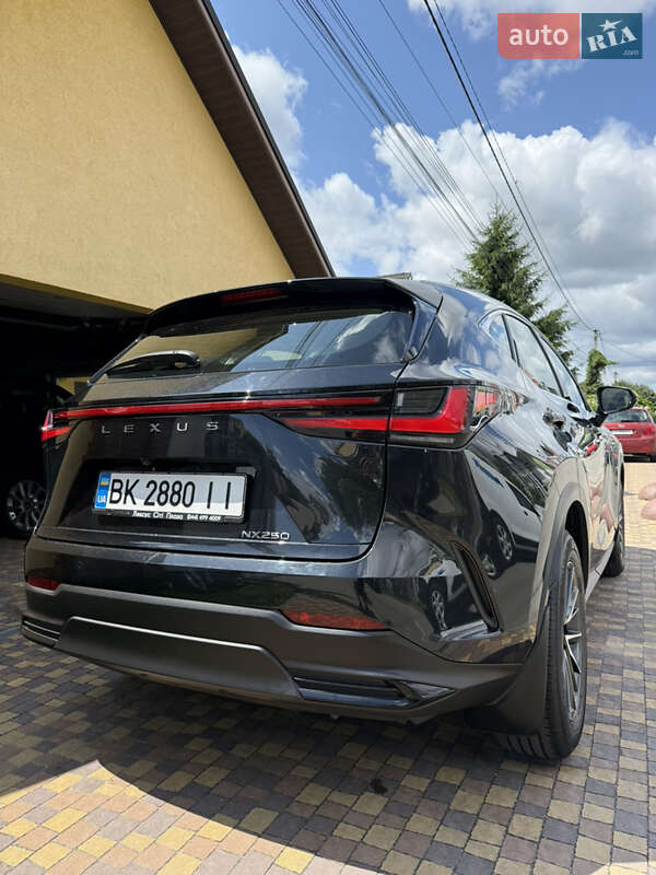 Внедорожник / Кроссовер Lexus NX 2022 в Киеве