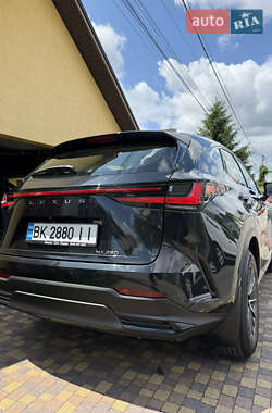 Внедорожник / Кроссовер Lexus NX 2022 в 