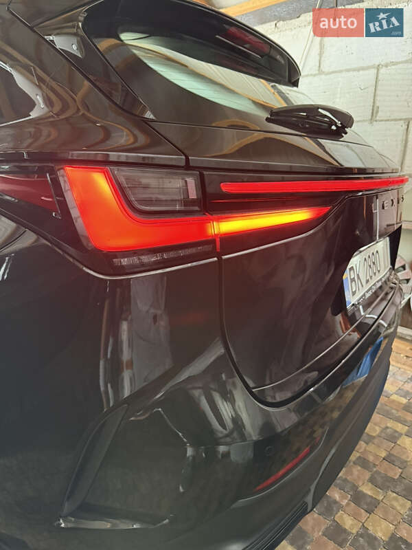Внедорожник / Кроссовер Lexus NX 2022 в Киеве