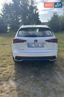 Внедорожник / Кроссовер Lexus NX 2019 в 