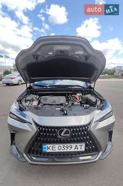 Позашляховик / Кросовер Lexus NX 2022 в 