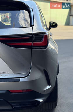 Внедорожник / Кроссовер Lexus NX 2022 в 