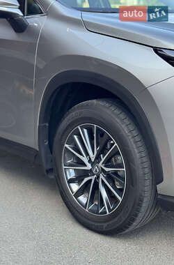 Внедорожник / Кроссовер Lexus NX 2022 в 