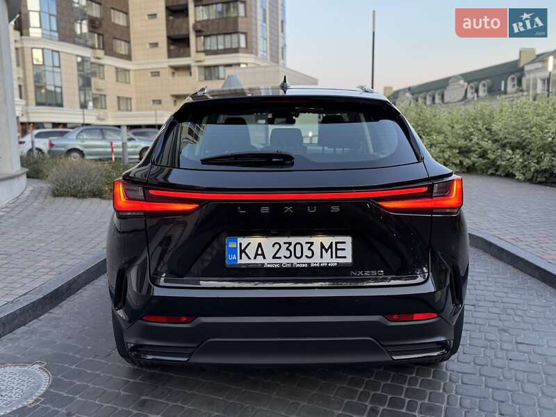 Внедорожник / Кроссовер Lexus NX 2022 в Киеве фото 9 Внедорожник / Кроссовер Lexus NX 2022 в Киеве