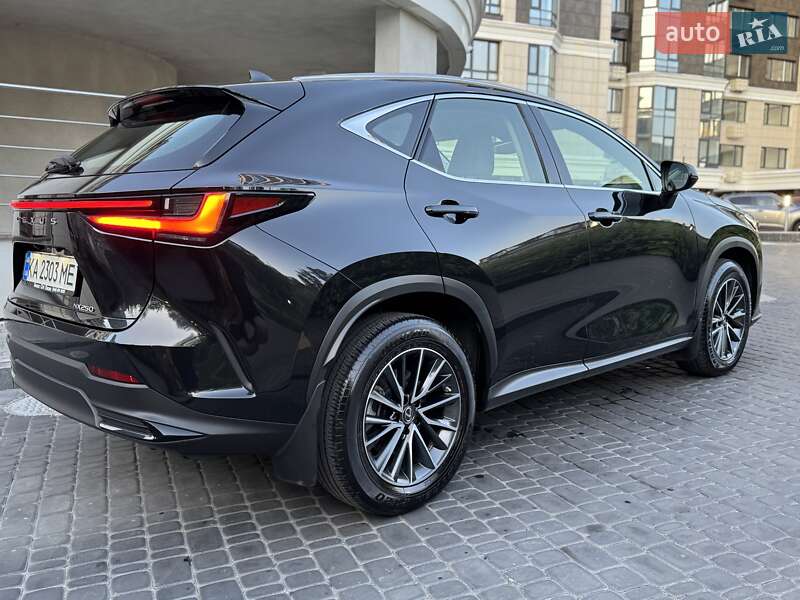 Внедорожник / Кроссовер Lexus NX 2022 в Киеве фото 25 Внедорожник / Кроссовер Lexus NX 2022 в Киеве