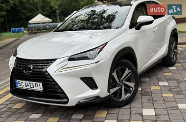 Внедорожник / Кроссовер Lexus NX 2019 в 