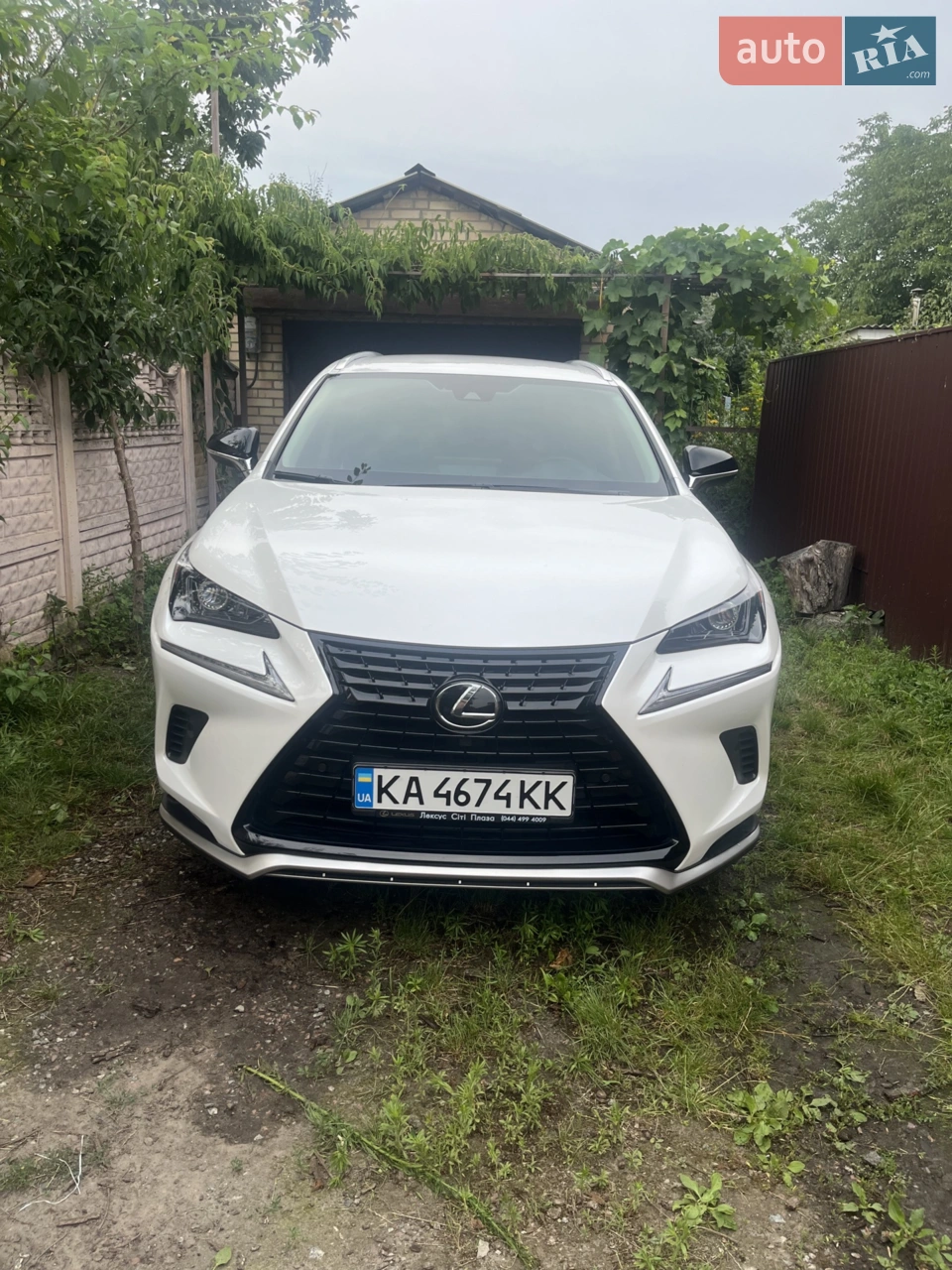 2019 Lexus NX - мініатюра 14