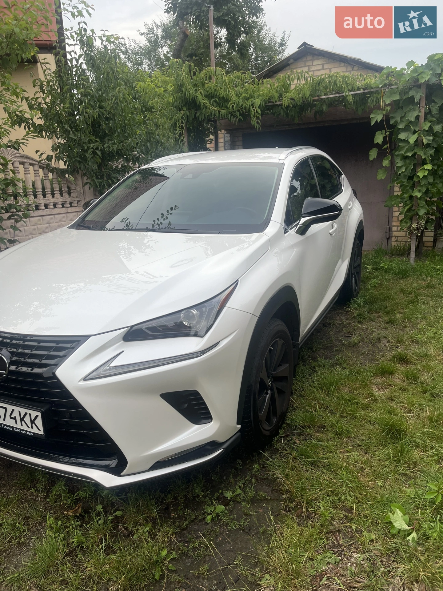 2020 Lexus NX - мініатюра 2