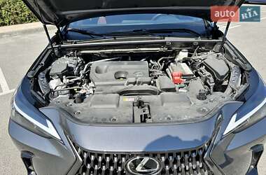 Внедорожник / Кроссовер Lexus NX 2024 в 