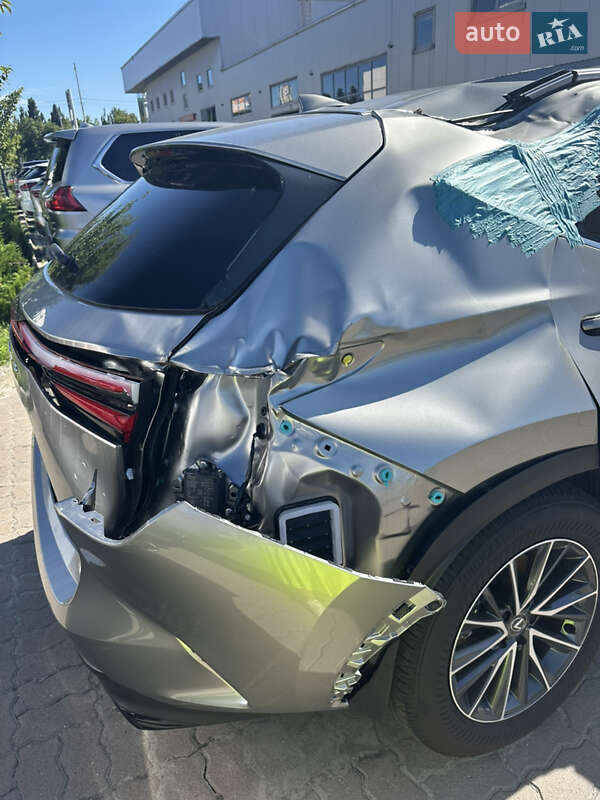 Внедорожник / Кроссовер Lexus NX 2025 в Киеве