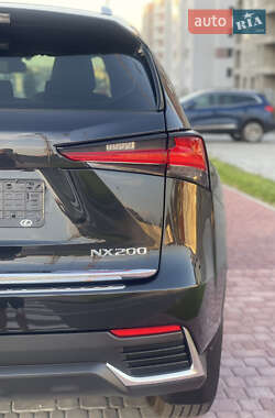 Внедорожник / Кроссовер Lexus NX 2021 в 