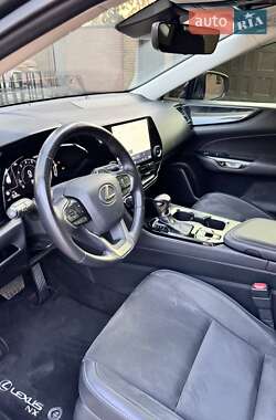 Внедорожник / Кроссовер Lexus NX 2022 в 
