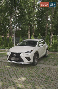 Внедорожник / Кроссовер Lexus NX 2019 в 