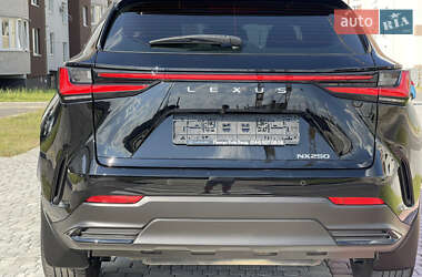 Внедорожник / Кроссовер Lexus NX 2022 в 