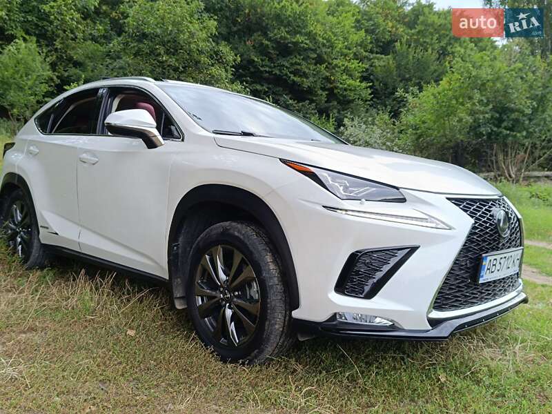 Lexus NX 2019 Lexus NX 2019
