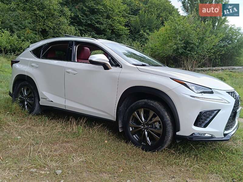 Внедорожник / Кроссовер Lexus NX 2019 в Виннице фото 28 Внедорожник / Кроссовер Lexus NX 2019 в Виннице