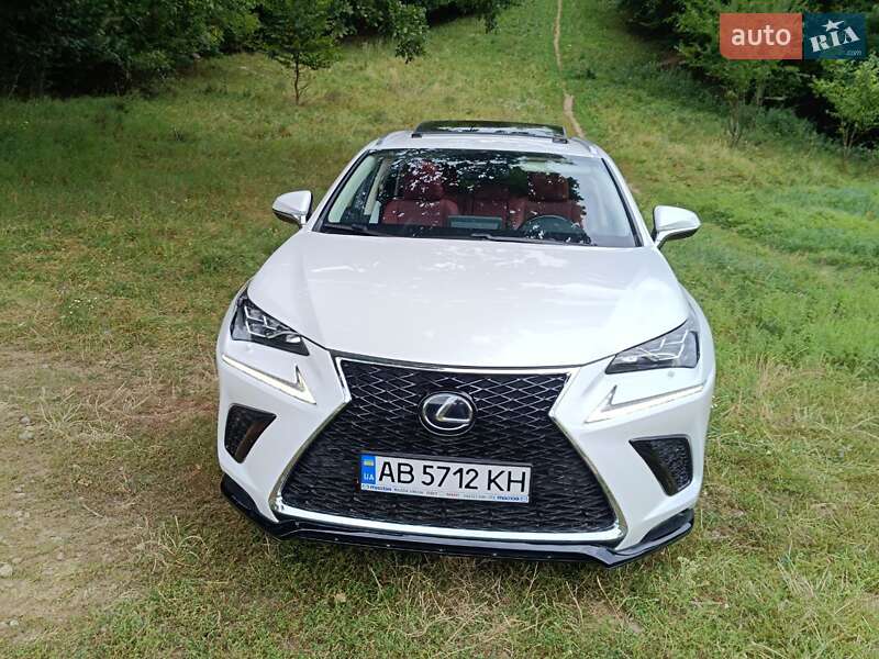 Внедорожник / Кроссовер Lexus NX 2019 в Виннице фото 37 Внедорожник / Кроссовер Lexus NX 2019 в Виннице