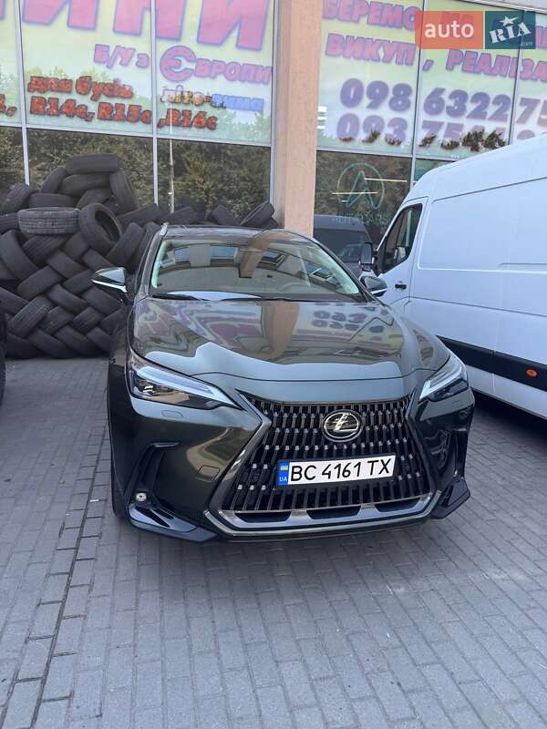 Внедорожник / Кроссовер Lexus NX 2023 в 