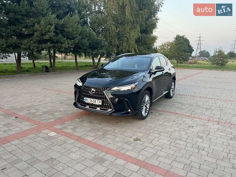 Внедорожник / Кроссовер Lexus NX 2022 в 