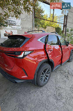 Внедорожник / Кроссовер Lexus NX 2024 в 