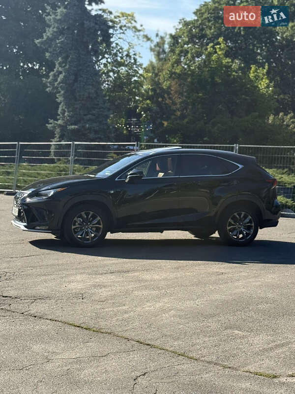 Внедорожник / Кроссовер Lexus NX 2020 в Киеве фото 3 Внедорожник / Кроссовер Lexus NX 2020 в Киеве