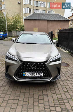 Позашляховик / Кросовер Lexus NX 2022 в 