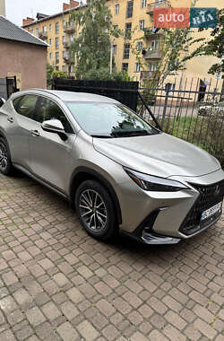 Позашляховик / Кросовер Lexus NX 2022 в 