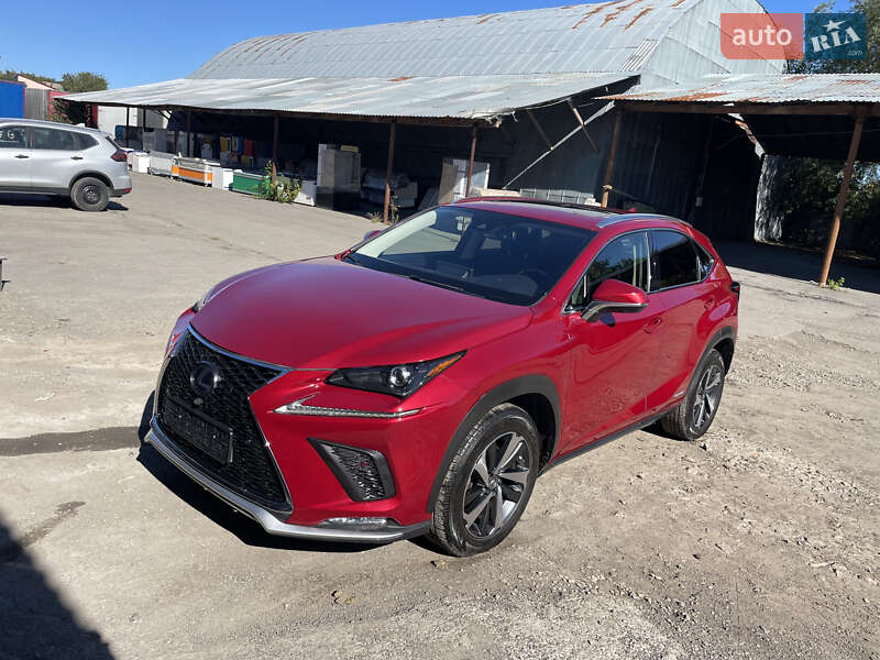 Позашляховик / Кросовер Lexus NX 2020 в Вінниці