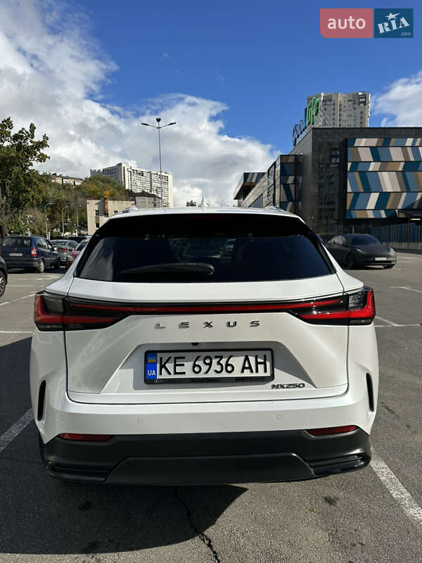 Позашляховик / Кросовер Lexus NX 2022 в Києві фото 7 Позашляховик / Кросовер Lexus NX 2022 в Києві