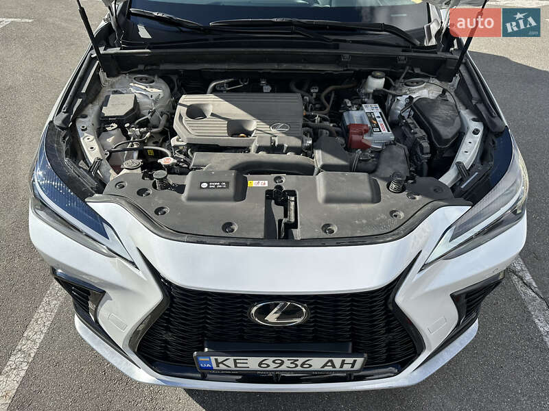 Позашляховик / Кросовер Lexus NX 2022 в Києві фото 17 Позашляховик / Кросовер Lexus NX 2022 в Києві