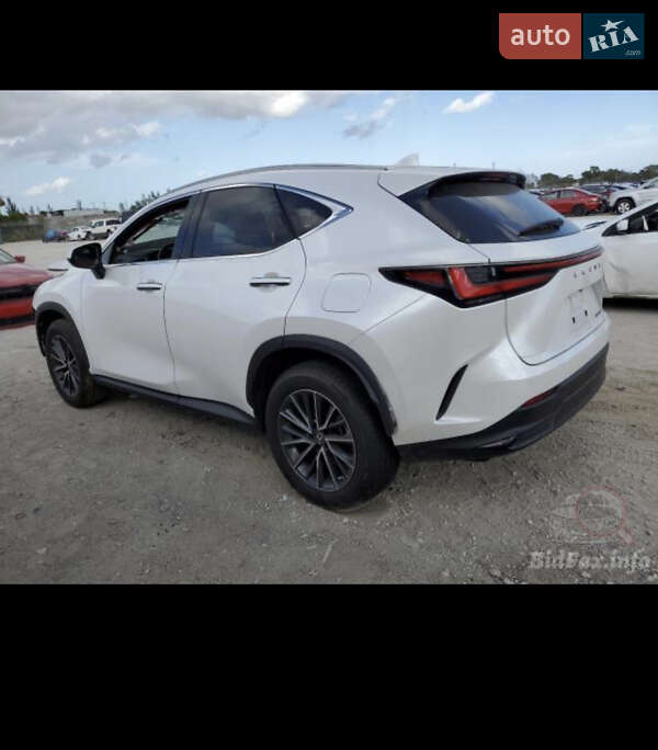 Позашляховик / Кросовер Lexus NX 2022 в Києві фото 59 Позашляховик / Кросовер Lexus NX 2022 в Києві