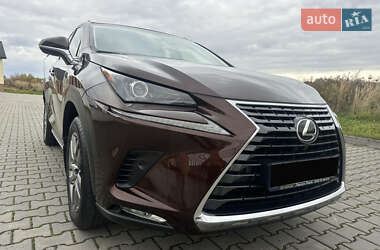 Позашляховик / Кросовер Lexus NX 2017 в 