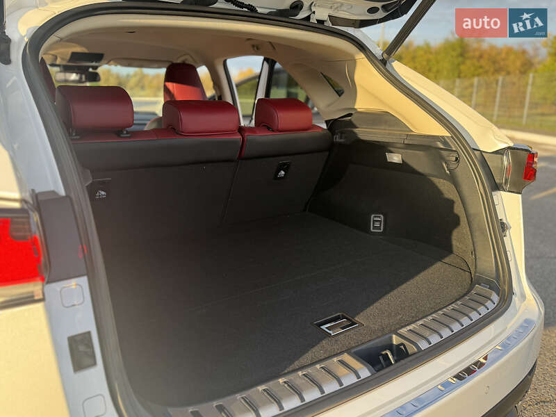 Позашляховик / Кросовер Lexus NX 2021 в Дніпрі фото 27 Позашляховик / Кросовер Lexus NX 2021 в Дніпрі