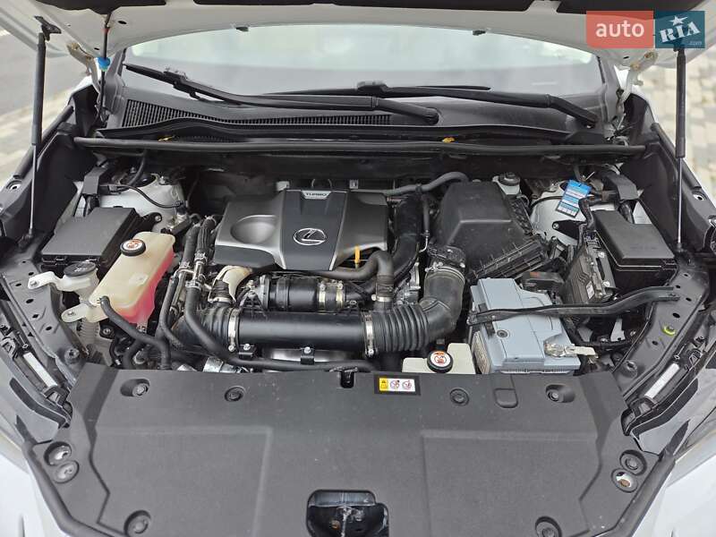 Внедорожник / Кроссовер Lexus NX 2020 в Львове