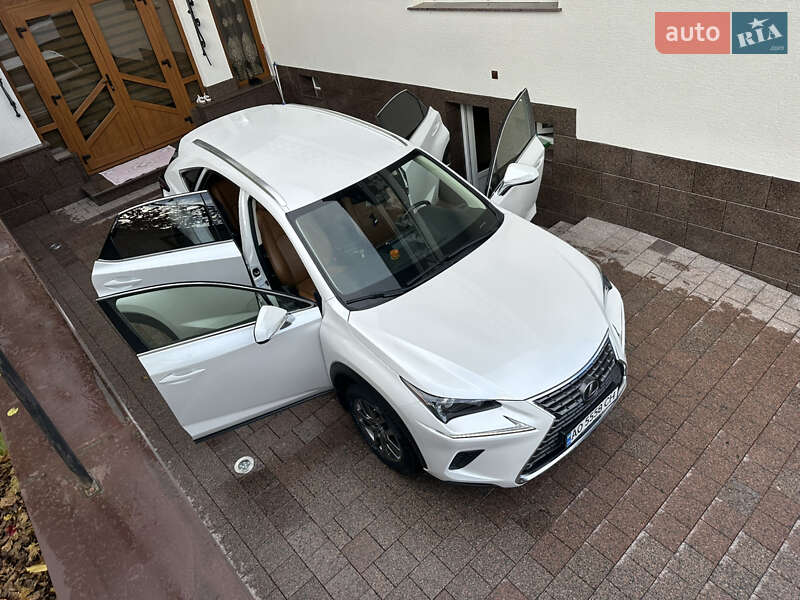 Позашляховик / Кросовер Lexus NX 2021 в Тячеві фото 31 Позашляховик / Кросовер Lexus NX 2021 в Тячеві