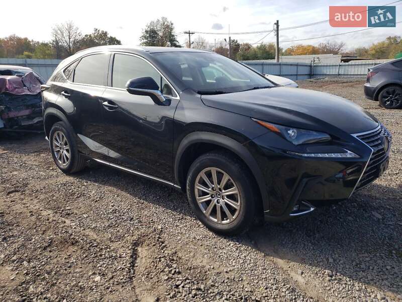 Внедорожник / Кроссовер Lexus NX 2020 в Киеве фото 4 Внедорожник / Кроссовер Lexus NX 2020 в Киеве