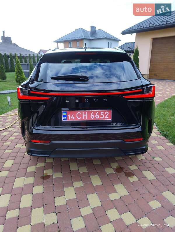 Внедорожник / Кроссовер Lexus NX 2022 в Жовкве