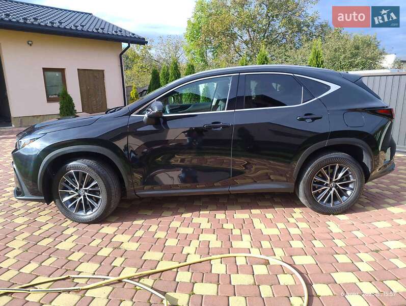 Внедорожник / Кроссовер Lexus NX 2022 в Жовкве
