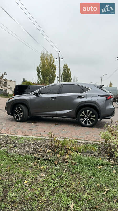 Позашляховик / Кросовер Lexus NX 2020 в Павлограді фото 10 Позашляховик / Кросовер Lexus NX 2020 в Павлограді