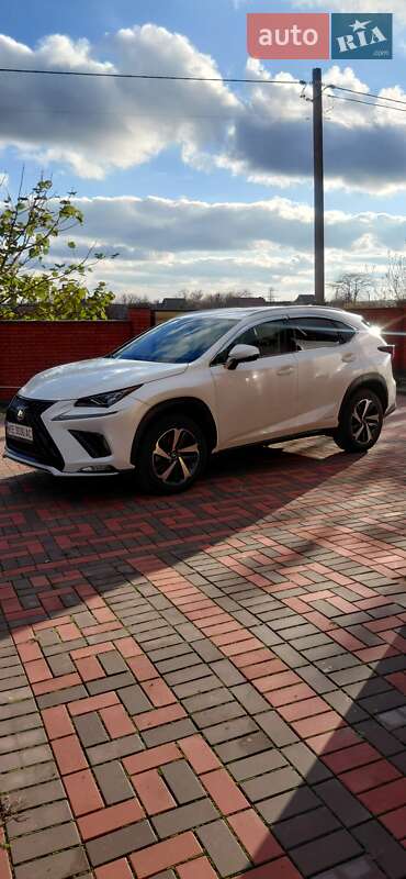 Позашляховик / Кросовер Lexus NX 2021 в Кривому Розі