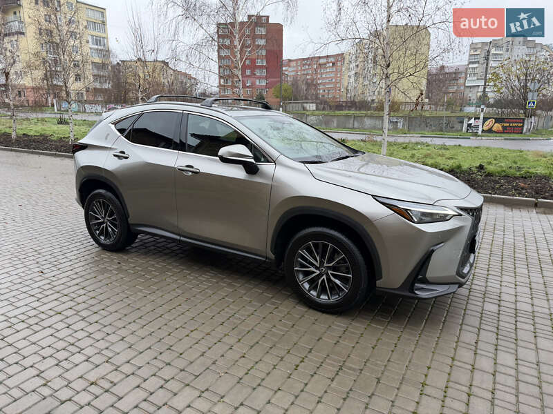 Позашляховик / Кросовер Lexus NX 2024 в Одесі