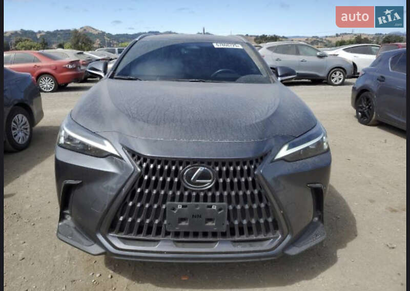 Lexus NX 2022