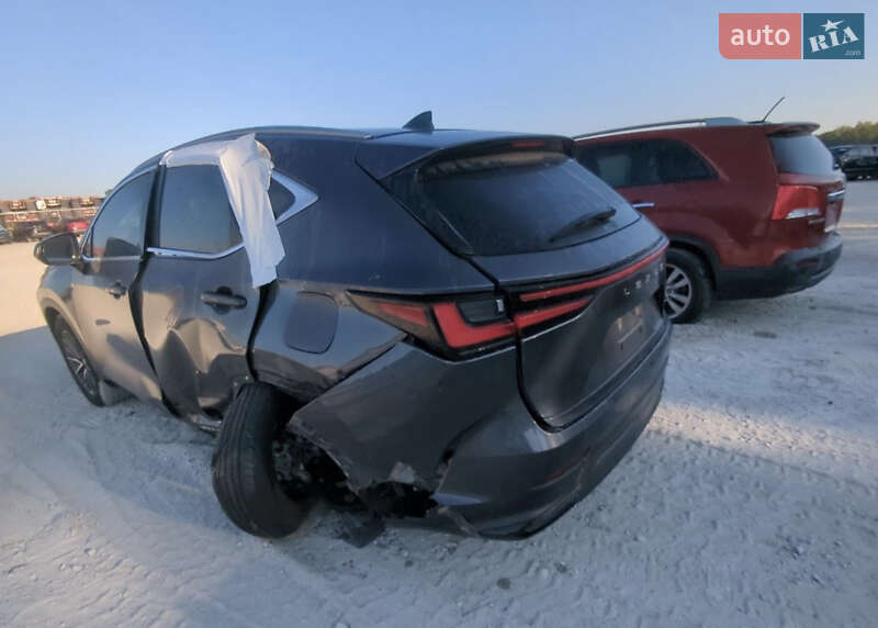 Позашляховик / Кросовер Lexus NX 2022 в Ізмаїлі