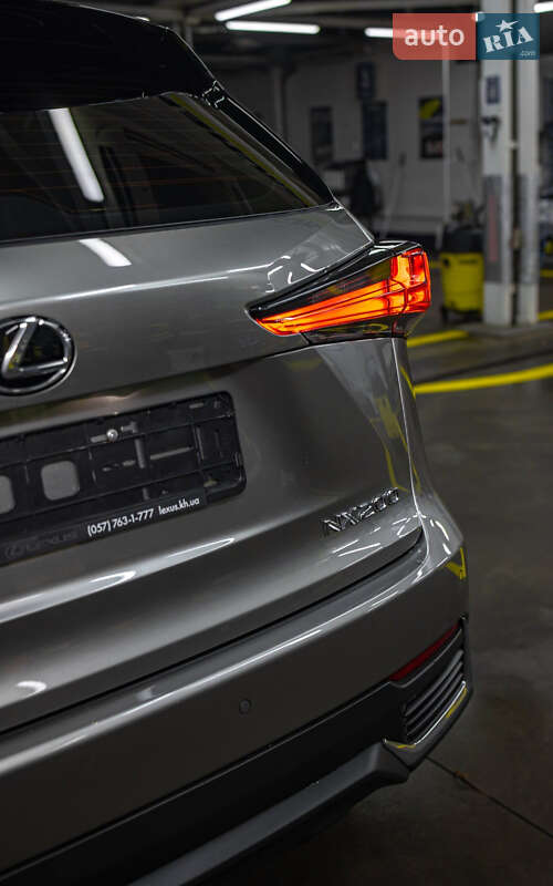 Внедорожник / Кроссовер Lexus NX 2020 в Днепре фото 15 Внедорожник / Кроссовер Lexus NX 2020 в Днепре