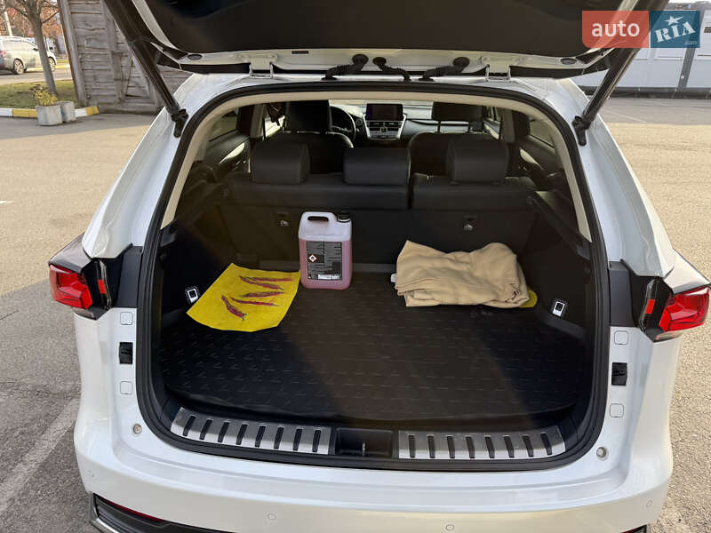 Внедорожник / Кроссовер Lexus NX 2020 в Ирпене фото 49 Внедорожник / Кроссовер Lexus NX 2020 в Ирпене