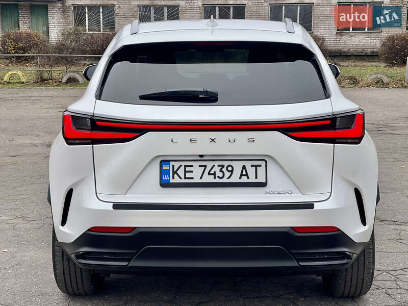 Внедорожник / Кроссовер Lexus NX 2024 в Каменском