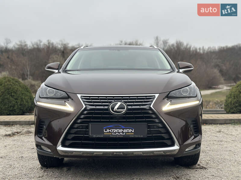 Внедорожник / Кроссовер Lexus NX 2019 в Днепре фото 5 Внедорожник / Кроссовер Lexus NX 2019 в Днепре
