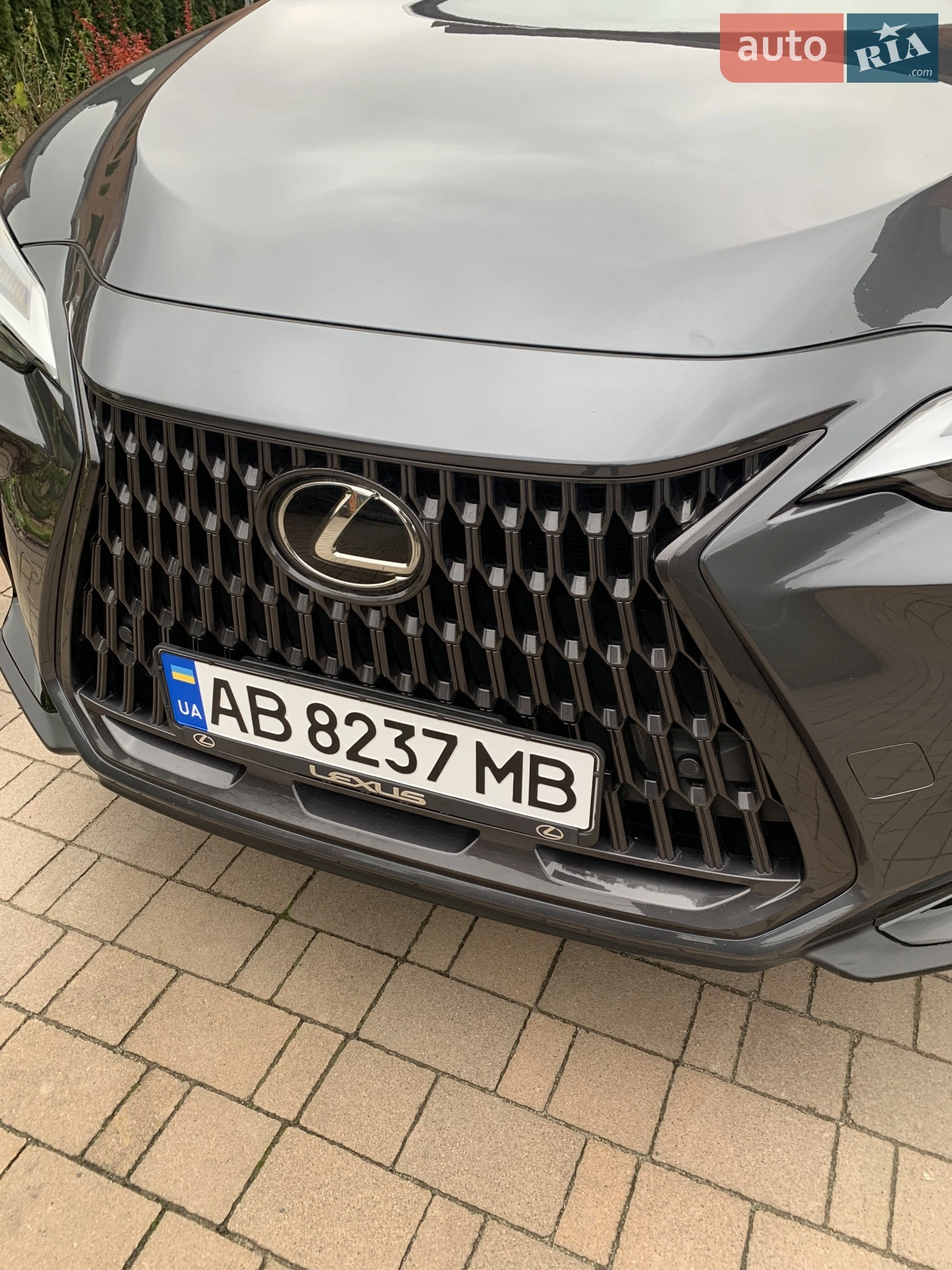 2022 Lexus NX - мініатюра 13